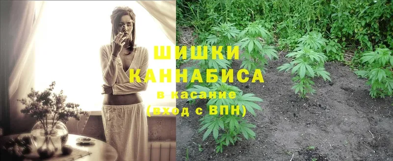 Шишки марихуана OG Kush  Белово 